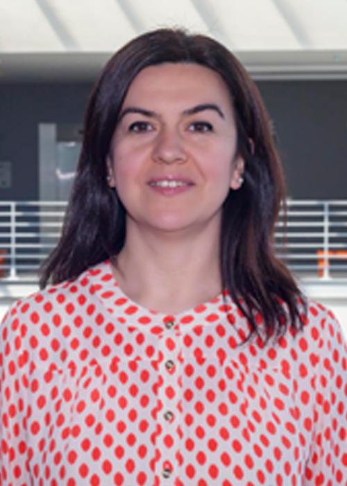 Işıl Erol